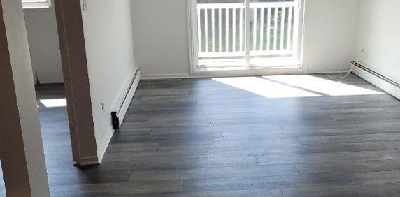 logement 3 1/2 au 2e- 3e étages 244 Denison O 870$- 885$ - Photo 2
