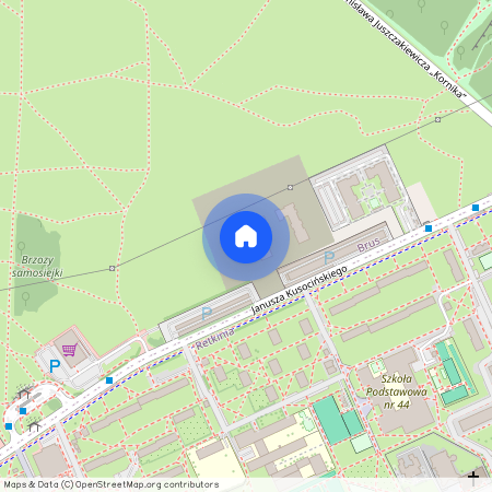 ul. Janusza Kusocińskiego, Brus, Polesie, Łódź, łódzkie