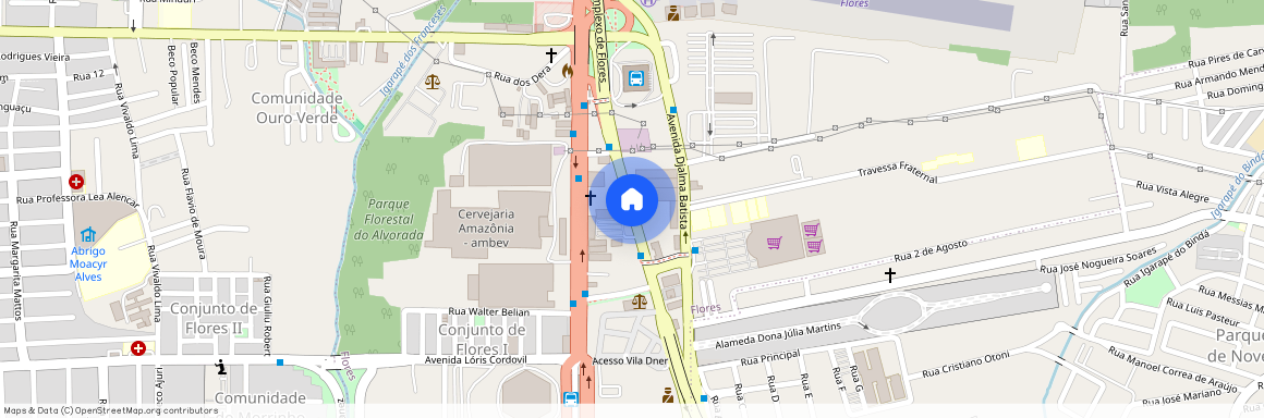 Avenida Recife, Flores, Manaus, AM, 69058775
