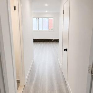 Studio rénové à louer - fully renovated for rent - NDG - Photo 2