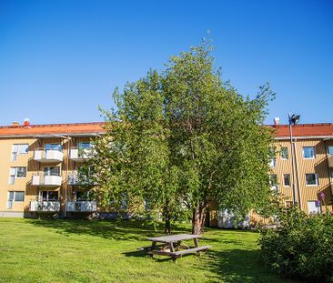Källvägen 3 A, 94140, Piteå - Photo 4