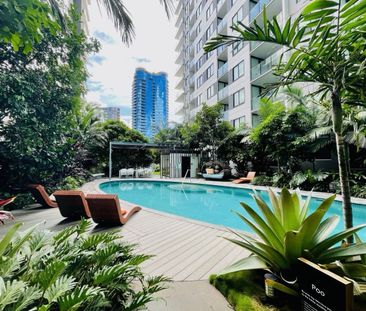 ✨ Modern Inner-City Living with Style & Convenience — Move in 9 Jan... - Photo 3