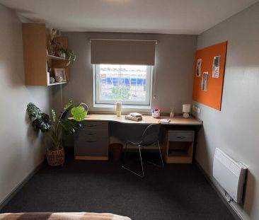 Premium Plus Ensuite - Photo 4