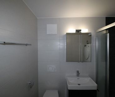 TRES BEAU LOGEMENT SPACIEUX ET LUMINEUX - Foto 5