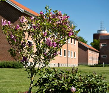 Tårnparken, Viborg - Photo 1