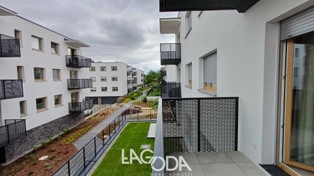 Gorzów Wielkopolski - Zdjęcie 3