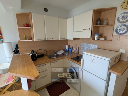 ALESSANDRA - DISPONIBLE LE 1ER SEPTEMBRE 2026 - Photo 4