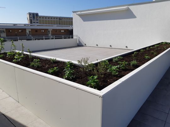JETZT TOPAKTION: EIN MONAT MIETFREI !!! 3-ZIMMERWOHNUNG MIT TOPAUSSTATTUNG IM NEUEN REININGHAUS - Photo 1