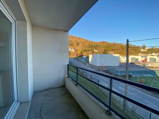 Location Appartement 1 pièce 35m² CANTELEU 76380 - Photo 1
