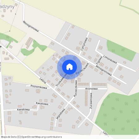 ul. Porzeczkowa, Radzyny, Kaźmierz, szamotulski, wielkopolskie