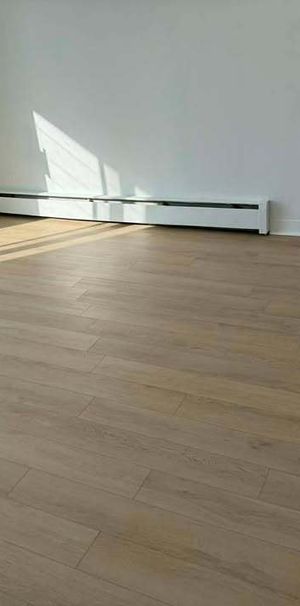 Magnifique Studio (1 ½) - Photo 1