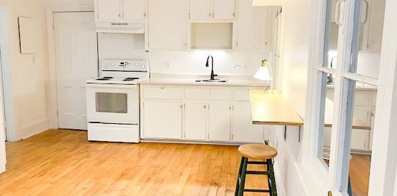 Superbe appartement lumineux avec jardin au cœur de Saint-Henri (English version below) - Photo 2