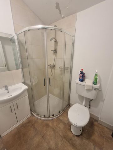 3 Mount Pleasant, College Road, Western Road, Cork - Photo 3