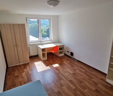 Wohnung, 1 Zimmer (24,89 m²) - Photo 4