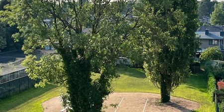 Appartement te huur in Zolder voor € 850 met 1 slaapkamer - Foto 3