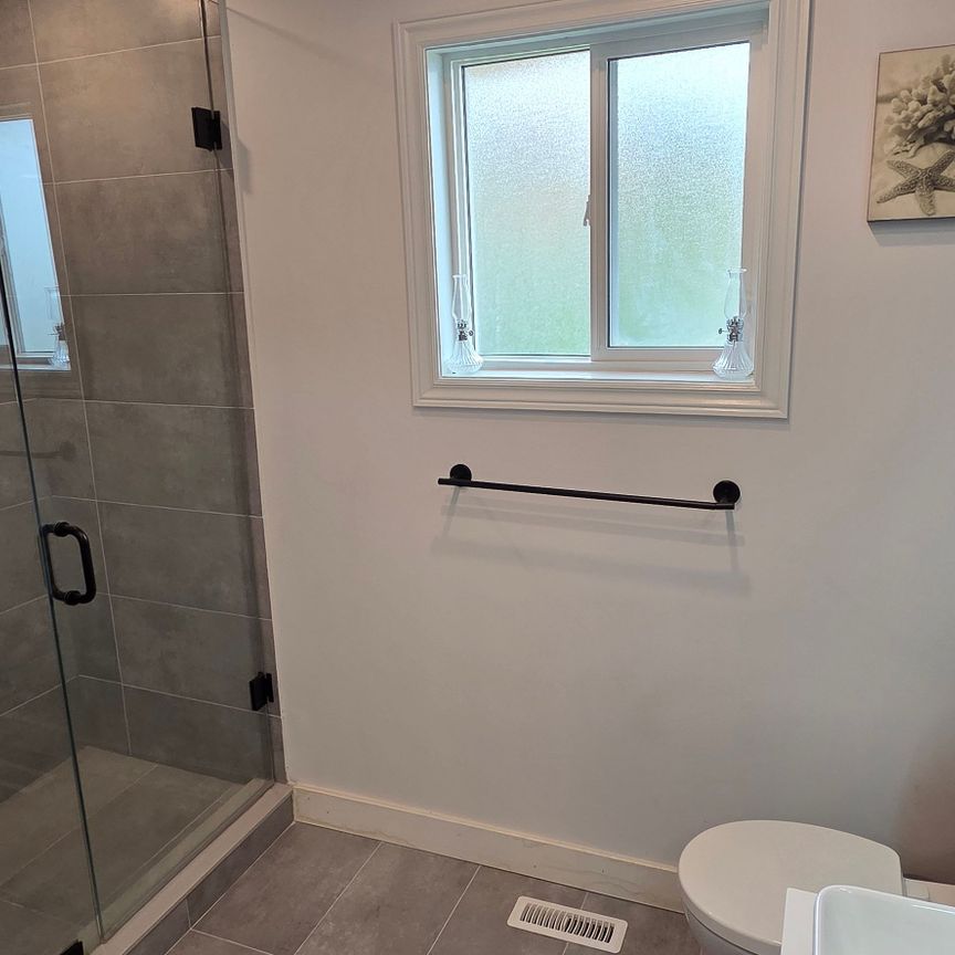 For Lease - 337 Carruthers Avenue, Newmarket, Ontario - Photo 1