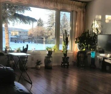 3 bedrooms in Center street - Bus 15 minutes to core area $1400 | C... - Photo 1
