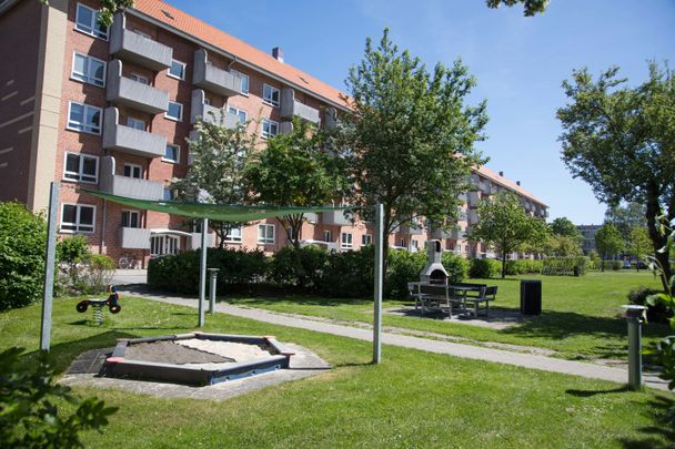 Hjortøgade 2, st. tv., 9000, Aalborg - Foto 1