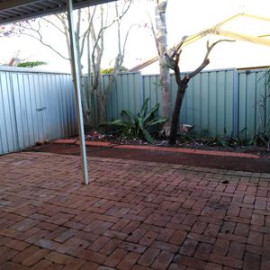 Private courtyard and close to Uni SQ - Photo 2