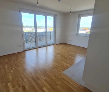 große 3-Zimmerwohnung mit optimalem Grundriss im Wohnpark Tullnerfe... - Foto 4
