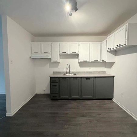 1 CH - 1 SDB - Granby - $1,200 /mo - Photo 3