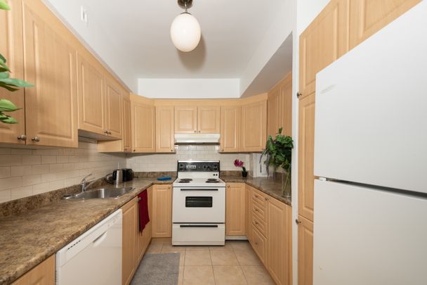 Flex Plus - Regency - Photo 1