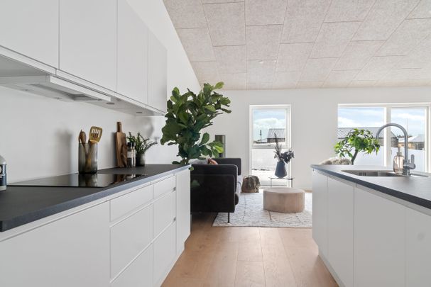 Rækkehus med sydvendt terrasse - Photo 1