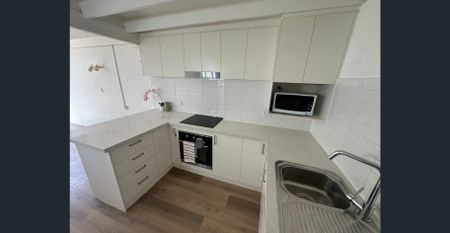 North-Facing Two-Level Living in the Heart of Malvern, Upgrade Renovation, including Fridge, and Microwave - Photo 3