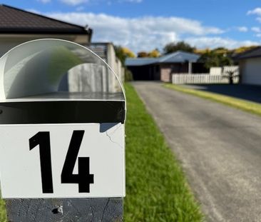 Great Family Home - Ohauiti - Photo 1