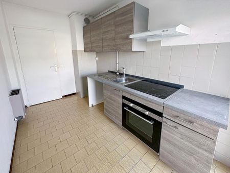 Location Appartement 2 pièces 48m² VALLAURIS 06220 - Photo 4