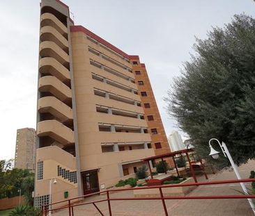 Apartment Long Term Rental La Cala Benidorm - Photo 3