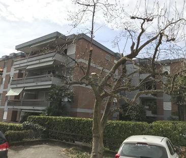 ASCONA, grosse 1 ½ Zimmerwohnung zu vermieten - Foto 6