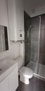 Location Appartement 1 pièce 15m² NANCY 54000 - Photo 3