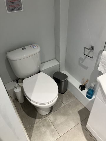 Room in a Shared Flat, Ranelagh Gardens Mansions, SW6 - Photo 4