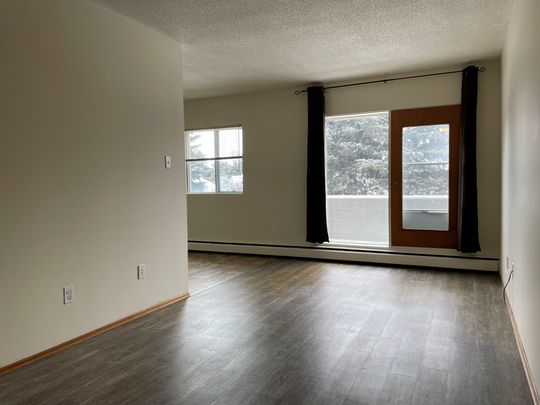 SPACIOUS 2 Bedroom APARTMENT!! GREAT LOCATION Downtown!!! - Photo 1