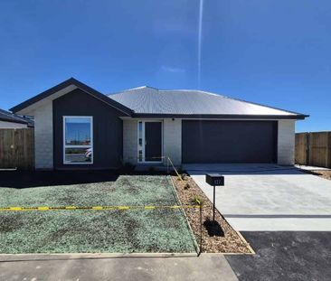 Modern, spacious and sun filled - Photo 5