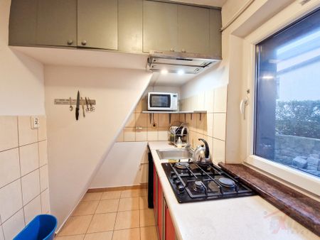 Do wynajęcia – niewielki dom z garażem i ogrodem (438500) - Photo 4