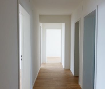 Leben in der trendigen Neustadt: moderne 3.5-Zimmerwohnung! - Photo 2