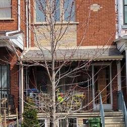 1 Bedroom basement apartment in Little Italy - Photo 3