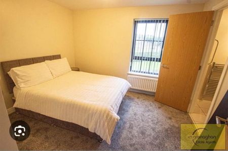 Apt 6, Lady Wallace Court, Lisburn, BT28 3GU - Photo 4