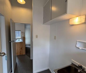 Newly Renovated One Bedroom Unit - Photo 6