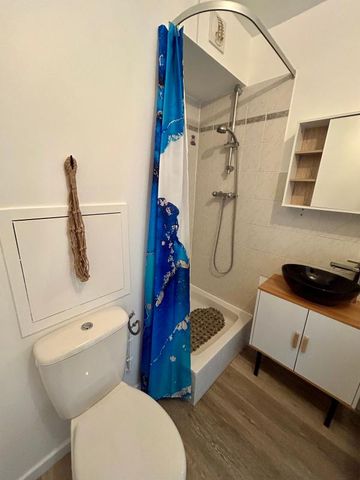 Location Appartement 1 pièce Meublé 20m² ROUEN 76100 - Photo 4