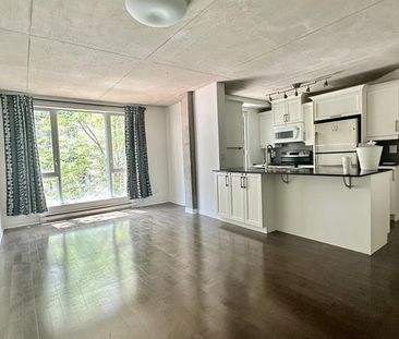 1235 Rue Bishop - Photo 4
