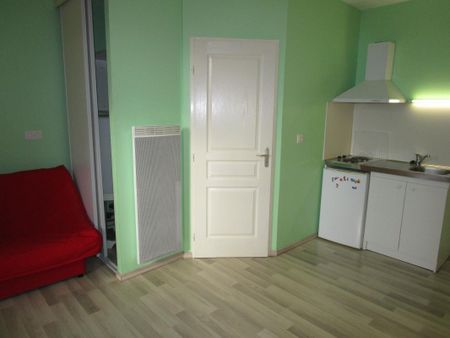 Location Appartement 1 pièce Meublé 20m² RISCLE 32400 - Photo 4