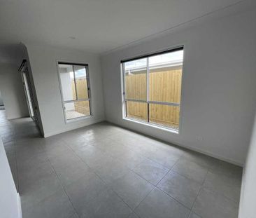 13A Redzel Court, Logan Reserve QLD 4133 - House For Rent | Domain - Photo 2