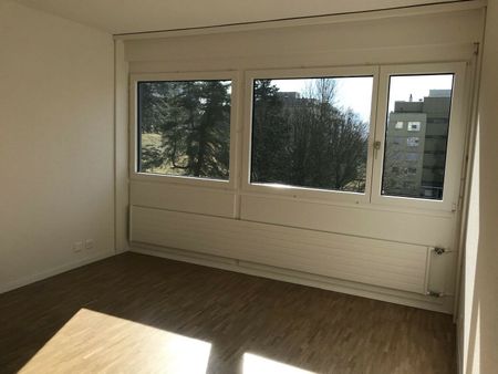 SPACIEUX LOGEMENT RENOVE RECEMMENT - Foto 5