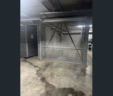 Sunlit Sophistication Overlooking Centennial Park - Photo 6