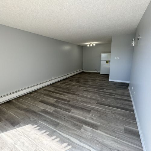 2 WEEKS FREE RENT! Newly Reno'd 1-Bedroom Apartment - SMALL PET FRIEN - Photo 1