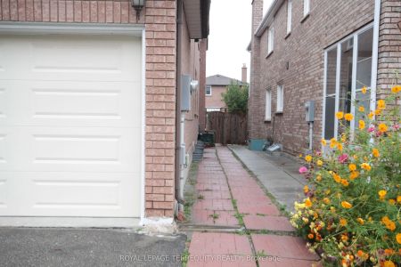 39 Joycedale Street #BASEMENT - Photo 3