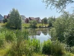 5 bedroom detached house to rent - Photo 5